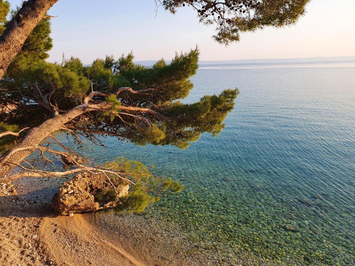 Villa La Vita Baška Voda Екстериор снимка